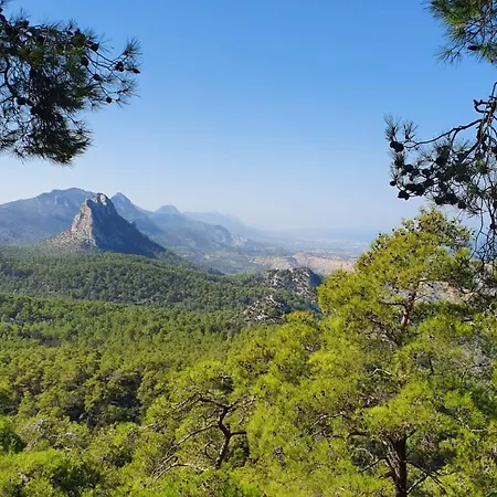 In A Quiet Area Kalogrea