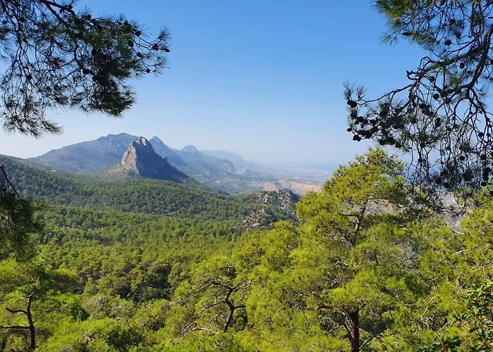 In A Quiet Area Kalogrea