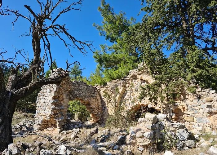 Διαμέρισμα In A Quiet Area Kalogrea